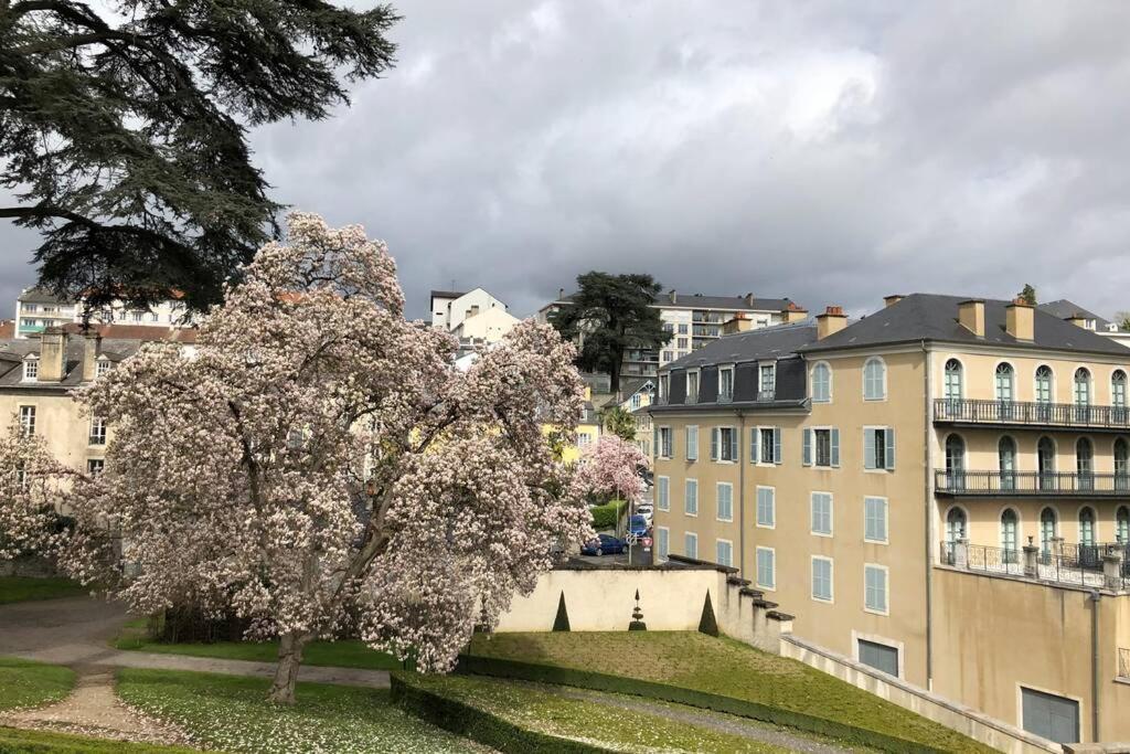 Apartment Magnolia : Superbe Deux-pieces Quartier Du Chateau
